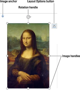 So ändern Sie die Größe oder beschneiden ein Bild in Word 2016