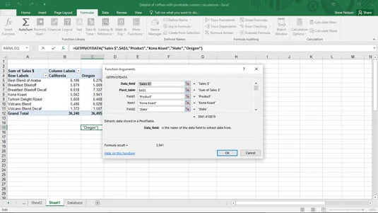 Argumente der GETPIVOTDATA-Funktion in Excel
