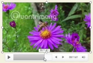 PowerPoint 2016: come inserire video in PowerPoint