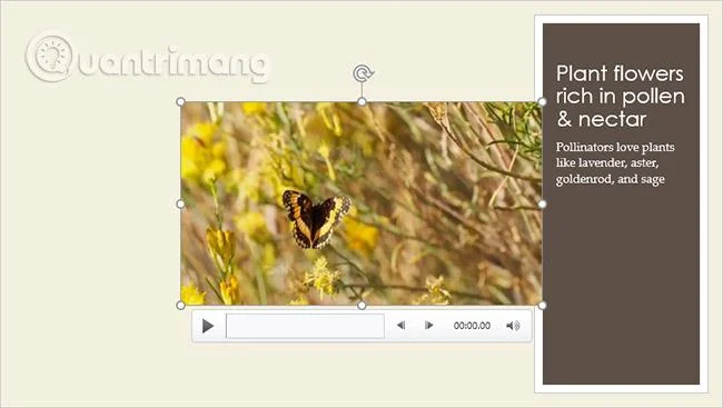 PowerPoint 2016: come inserire video in PowerPoint
