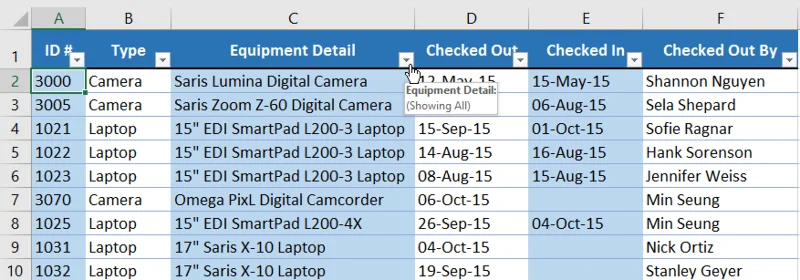 Excel 2019 (Bölüm 19): Verileri filtreleme