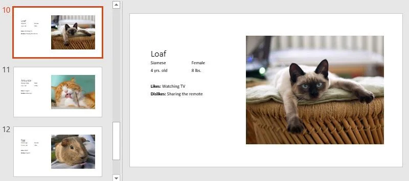 PowerPoint 2019 (Część 4): Podstawowa wiedza o slajdach