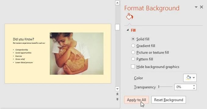 PowerPoint 2019 (Część 4): Podstawowa wiedza o slajdach