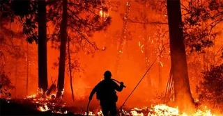 Cientistas usam IA para prever incêndios florestais em grande escala