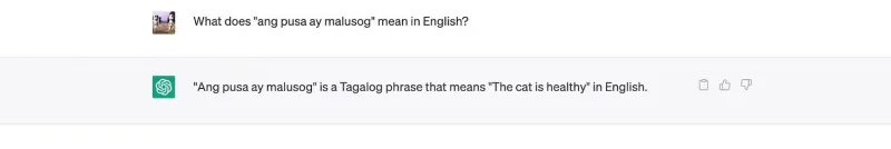 O HuggingChat ou o Bing Chat são uma alternativa melhor ao ChatGPT?