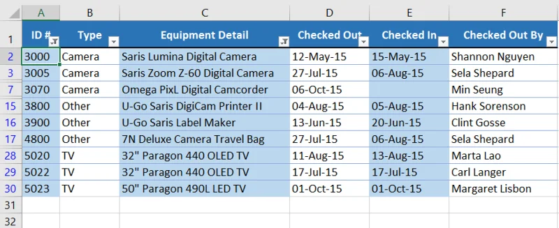 Excel 2019 (Bölüm 19): Verileri filtreleme