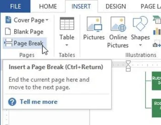 Vollständiger Leitfaden zu Word 2013 (Teil 12): So brechen Sie Seiten und Absätze um