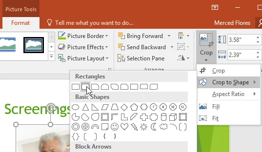 PowerPoint 2019 (Bölüm 15): Resim formatları