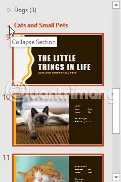 PowerPoint 2016: gestire le diapositive in PowerPoint