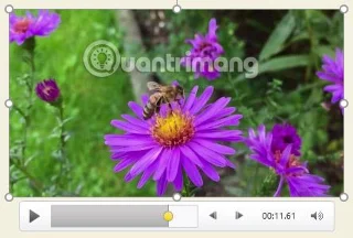 PowerPoint 2016: come inserire video in PowerPoint