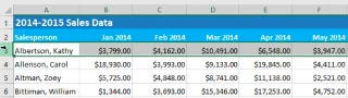 Excel 2019 (Bölüm 17): Satırları/sütunları dondurma ve seçenekleri görüntüleme