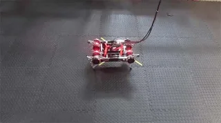 Este robô leva apenas 2 horas para aprender a andar sozinho