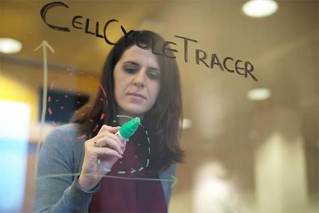 Pesquisadores da IBM analisam estrutura celular de câncer de mama usando IA