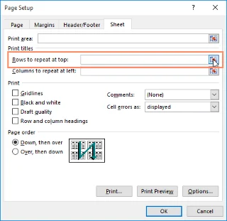 Excel 2019 (Bölüm 11): Düzen ve Yazdırma
