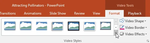 PowerPoint 2019 (часть 19): вставка видео