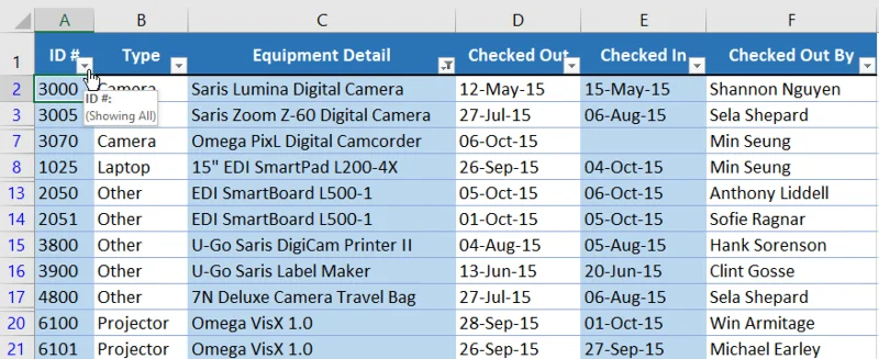 Excel 2019 (Bölüm 19): Verileri filtreleme