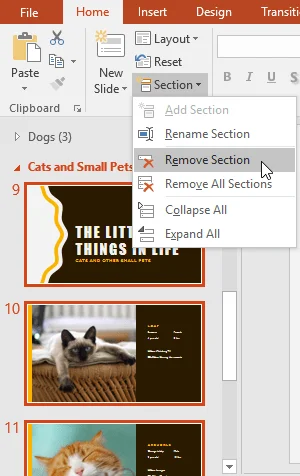 PowerPoint 2019 (Bölüm 8): Slayt yönetimi