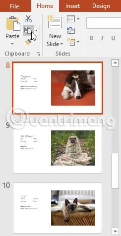 PowerPoint 2016: Slaytın temelleri