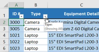 Excel 2019 (Bölüm 19): Verileri filtreleme