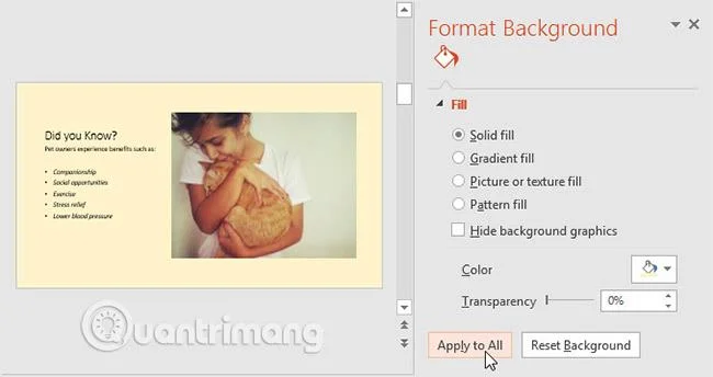 PowerPoint 2016: Slaytın temelleri