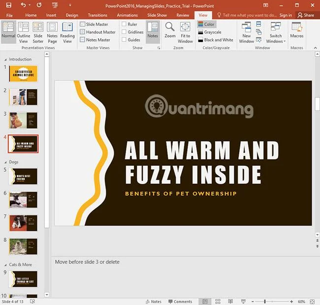 PowerPoint 2016: gestire le diapositive in PowerPoint