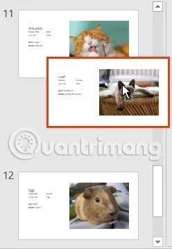 PowerPoint 2016: Slaytın temelleri