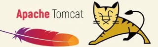 Apache Tomcat sunucusu ile Apache web sunucusu arasındaki fark