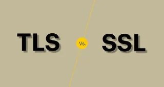 TLS veya SSL daha iyi bir web şifreleme standardı mıdır?