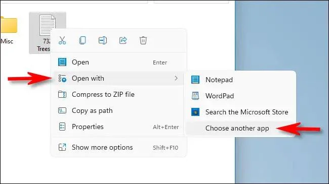 Instructies voor het instellen van de standaardapplicatie om bestanden te openen op Windows 11
