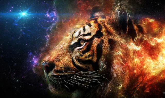 Kertas dinding harimau yang sangat cantik untuk komputer, kertas dinding harimau untuk komputer riba