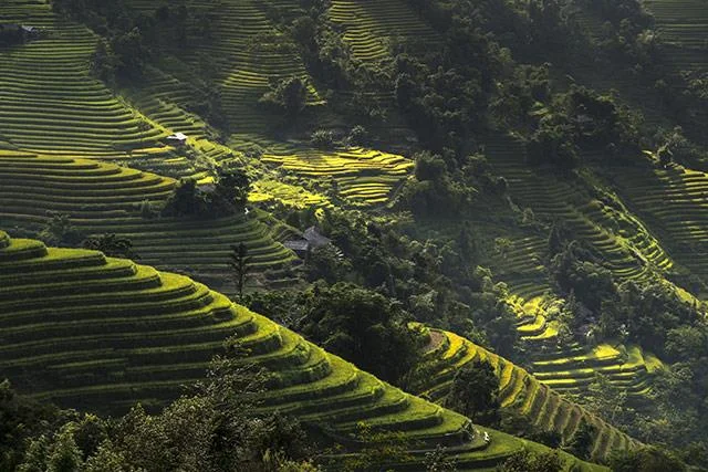Kertas dinding padang teres yang cantik untuk komputer