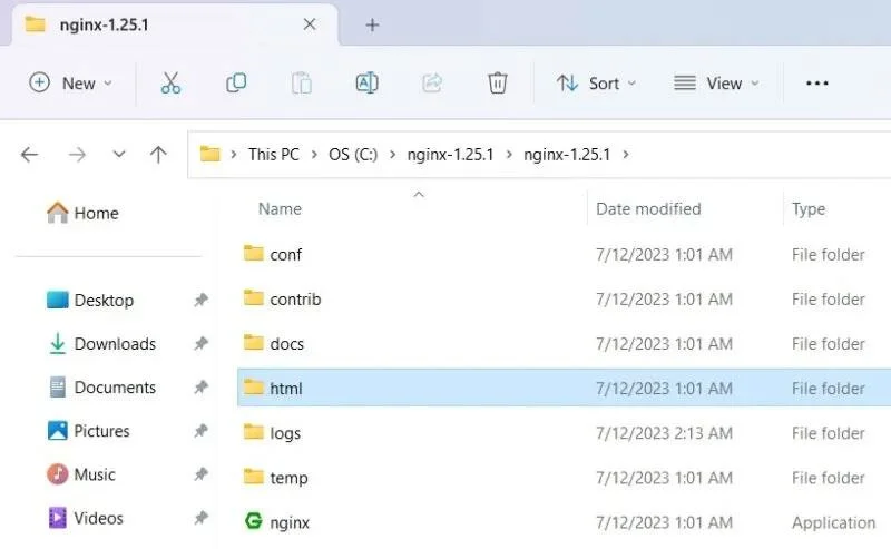 Windows'ta Nginx Sunucusu nasıl kurulur ve çalıştırılır