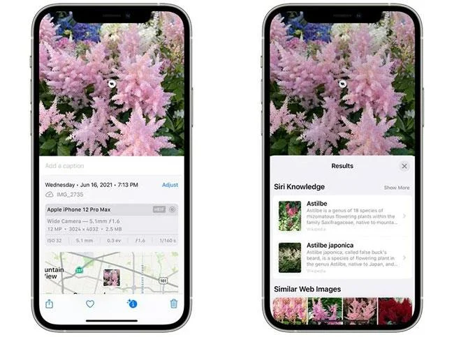 Ciri baharu dalam apl Photos pada iOS 15