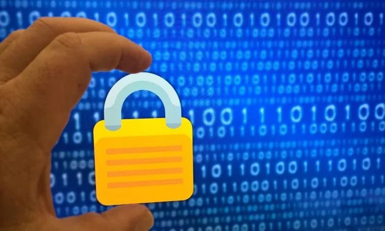 Donanım VPN'si ile yazılım VPN'si arasındaki temel farklar