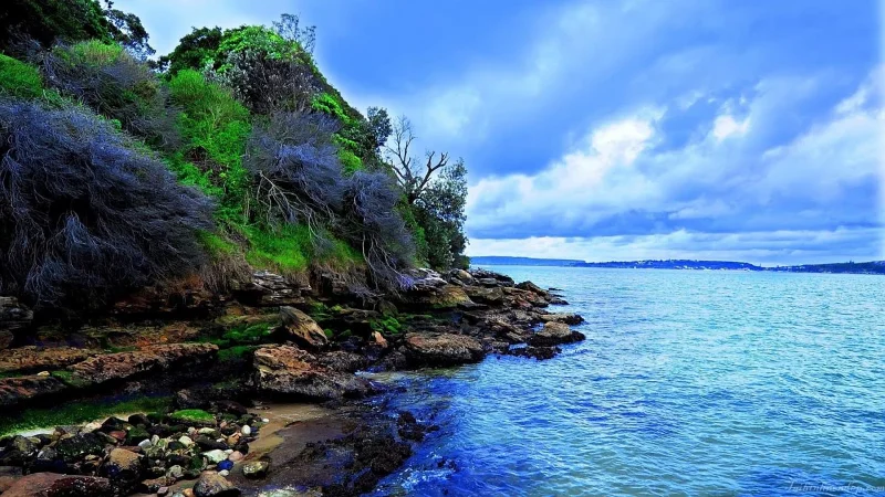 Muat turun satu set kertas dinding bertema laut untuk Desktop anda sekarang