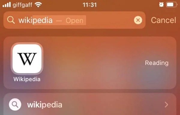 Cara menggunakan Pustaka Apl pada iOS 14