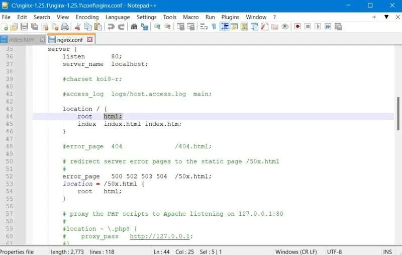 Windows'ta Nginx Sunucusu nasıl kurulur ve çalıştırılır