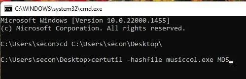Verifica checksum con certutil