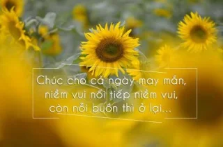 早安圖片，美好的新的一天圖片