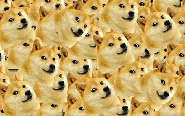 Doge Windows duvar kağıdı, Doge Windows 11 meme, Doge duvar kağıdı