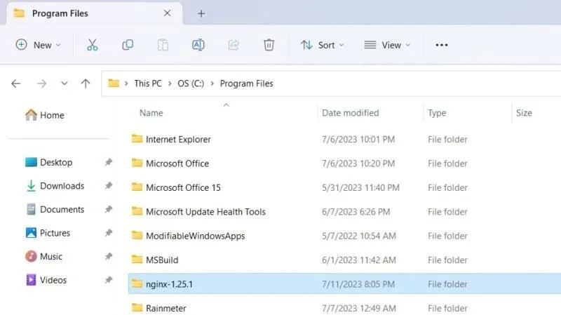 Windows'ta Nginx Sunucusu nasıl kurulur ve çalıştırılır
