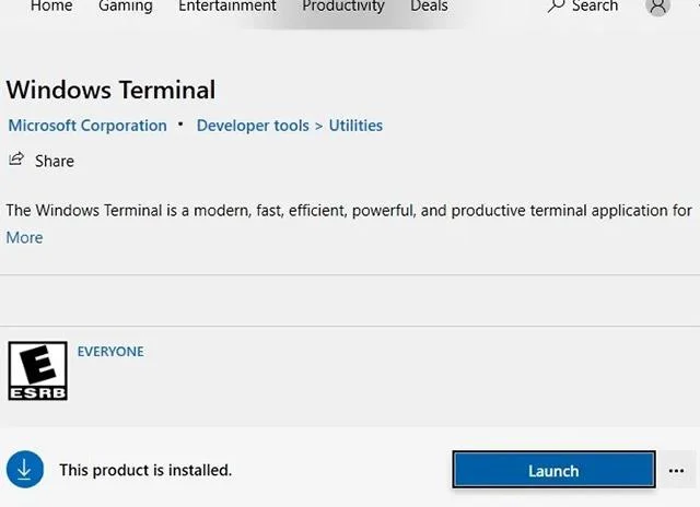 Windows Terminalini Windows 10'a kurmanın 3 yolu