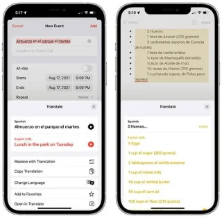 Ciri baharu dalam apl Terjemahan pada iOS 15
