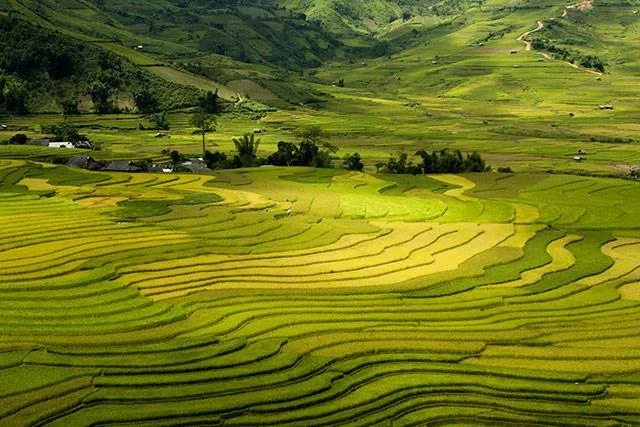 Kertas dinding padang teres yang cantik untuk komputer