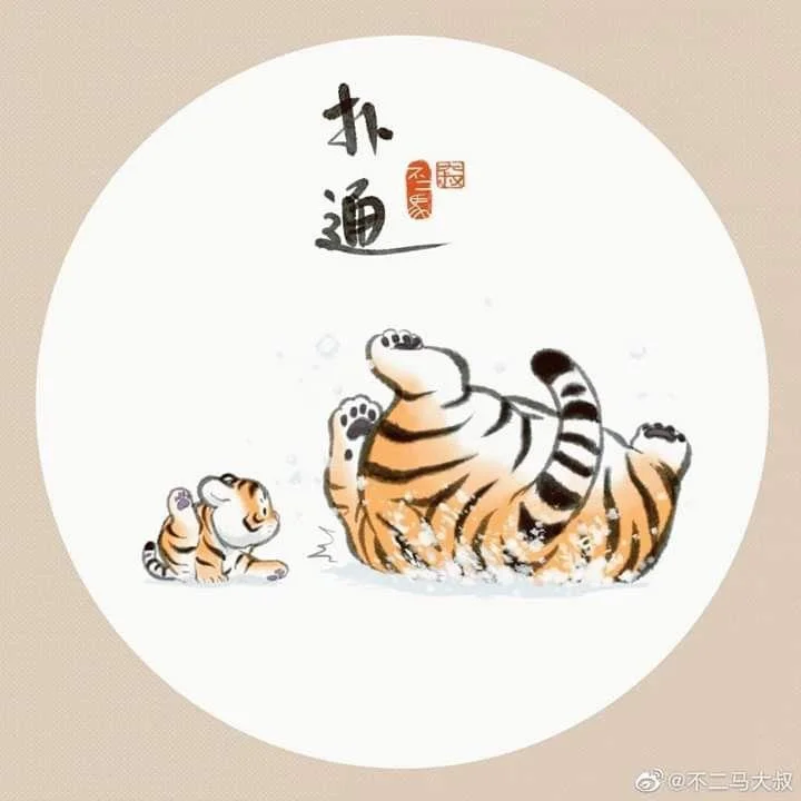 Sfondi di tigre grassa, foto carine di tigre grassa