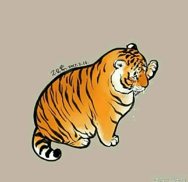 Sfondi di tigre grassa, foto carine di tigre grassa
