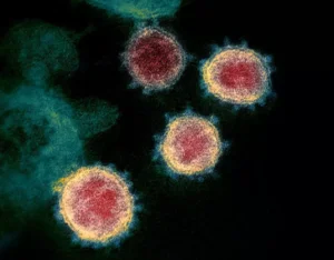 Apakah perbezaan antara virus komputer dan virus biologi?
