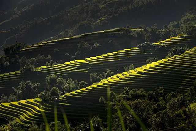 Kertas dinding padang teres yang cantik untuk komputer