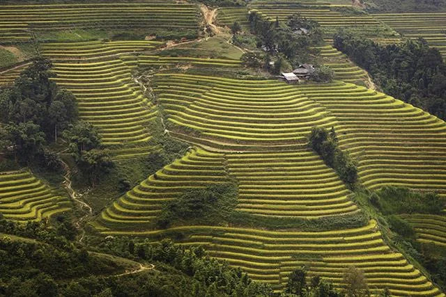 Kertas dinding padang teres yang cantik untuk komputer