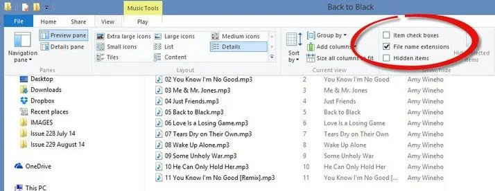 Windows 11/10/7/8でファイル拡張子を表示および表示する方法
